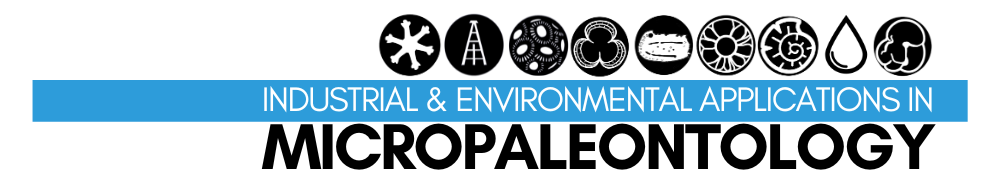 Εικόνα επιλογής