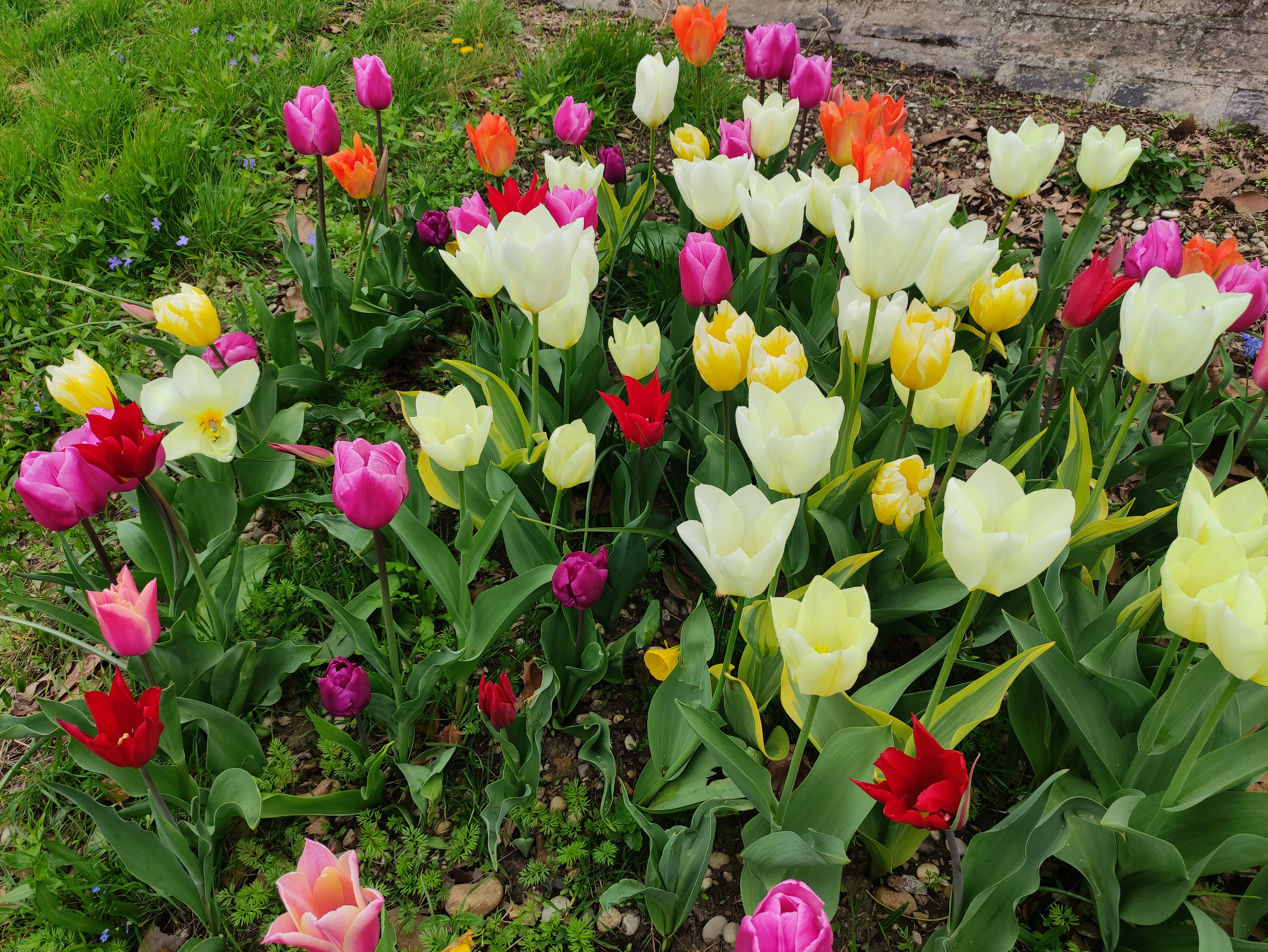 Επιλέχθηκε εικόνα