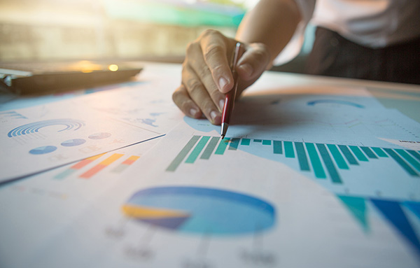 Εικόνα επιλογής